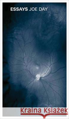 Joe Day: Essays Joe Day 9781941753996 Inventory Press
