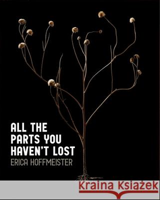 All the Parts You Haven't Lost Erica Hoffmeister 9781942004738