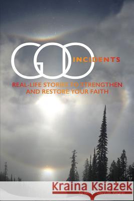 God Incidents: Real Life Stories to Strengthen and Restore Your Faith Glenn M Wagner, Sharon Rader 9781942011323 Front Edge Publishing, LLC