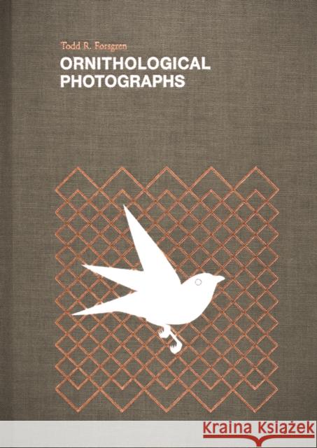 Ornithological Photographs Todd Forsgren 9781942084068 Daylight Books