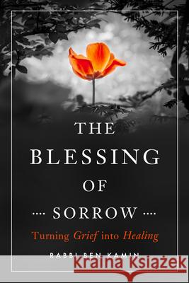 The Blessing of Sorrow: Turning Grief Into Healing  9781942094654 Central Recovery Press
