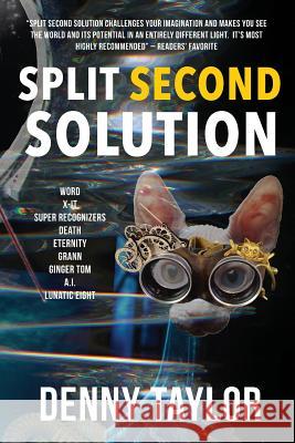 Split Second Solution Denny Taylor   9781942146452 Garn Press