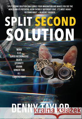 Split Second Solution Denny Taylor 9781942146469 Garn Press