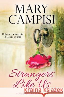 Strangers Like Us Mary Campisi 9781942158387