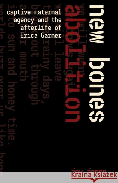 New Bones: Abolitionism and the Captive Maternal Joy James 9781942173748 Common Notions