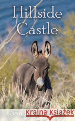 Hillside Castle Sandy Anderson 9781942190523 Leonine Publishers
