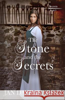 The Stone and the Secrets Jan Davis Warren 9781942265528 Wild Heart Books