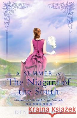 A Summer at the Niagara of the South Denise Weimer 9781942265979 Wild Heart Books