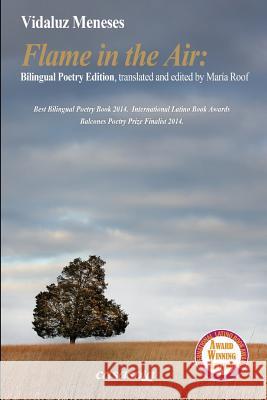 Flame in the Air Second Edition Vidaluz Meneses Maria Roof 9781942369097