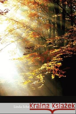 Fierce Light Linda Scheller 9781942371250