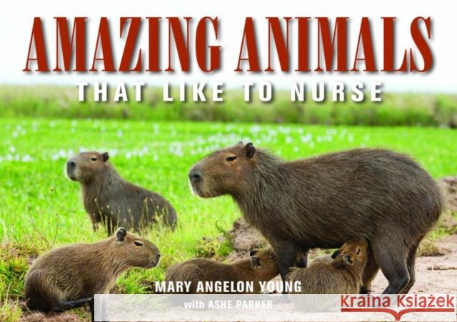 Amazing Animals: That Like to Nurse Ashe (Ashe Parker) Parker 9781942493488 Hohm Press,U.S.