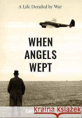 When Angels Wept David R. McCue 9781942549307 Di Angelo Publications