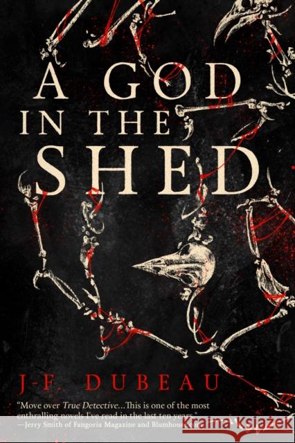 A God in the Shed J-F. Dubeau 9781942645351 Inkshares
