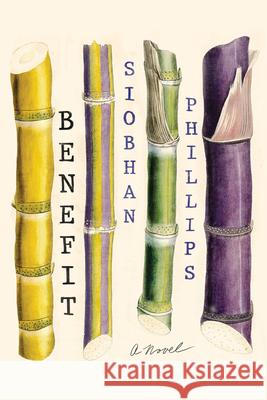 Benefit  9781942658993 Bellevue Literary Press