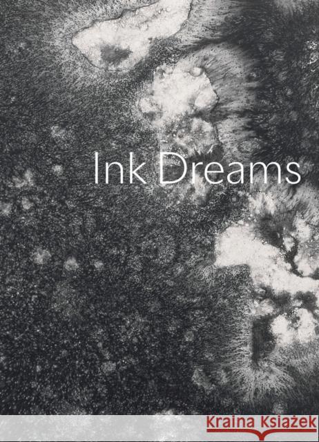 Ink Dreams: Selections from the Fondation Ink Collection Susanna Ferrell 9781942884989 Delmonico Books