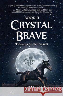 Crystal Brave: Treasures of the Current Bk Bradshaw   9781942905400 Goldminds Publishing