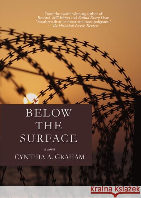 Below the Surface Cynthia A. Graham 9781943075652
