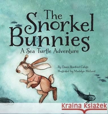 The Snorkel Bunnies Dawn Stanford Calisto 9781943258062 Warren Publishing, Inc