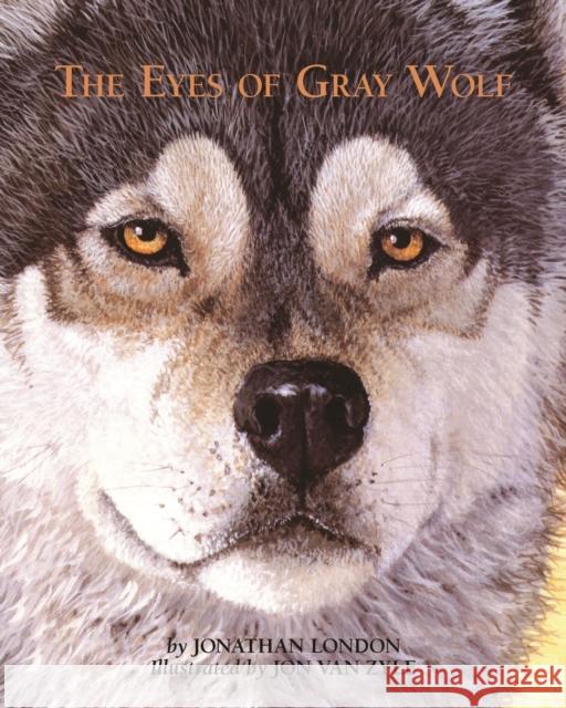 The Eyes of Gray Wolf Jonathan London Jon Va 9781943328727 Westwinds Press