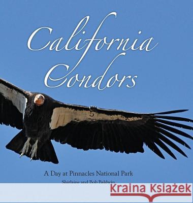 California Condors: A Day at Pinnacles National Park Shirlaine Baldwin Bob Baldwin 9781943492107 Bookbaby