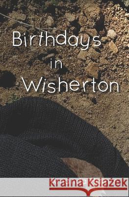 Birthdays in Wisherton Amanda Hamm   9781943598182 Before Someday Publishing