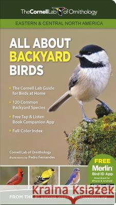All about Backyard Birds- Eastern & Central North America Cornell Lab of Ornithology 9781943645046 Cornell Lab Publishing Group