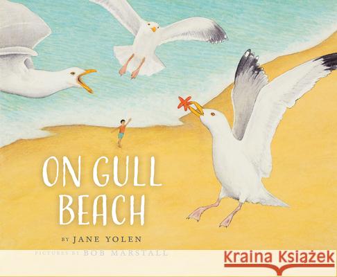 On Gull Beach Jane Yolen Bob Marstall 9781943645183 Cornell Lab Publishing Group