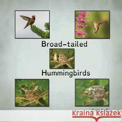 Broad-tailed Hummingbirds Lake, Lois 9781943650873 Lakeviewfotos