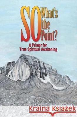 So What's The Point?: A Primer for True Spiritual Awakening Lively, Bob 9781943658237 Treaty Oak Publishers