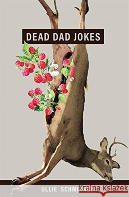 Dead Dad Jokes Ollie Schminkey 9781943735938 Button Poetry