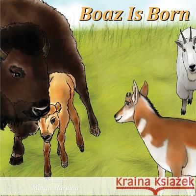 Boaz Is Born Margie Harding Beth Davidson 9781943871674 Painted Gate Publishing