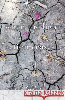 When the Light of Any Action Ceases Anne F. Walker 9781944251260