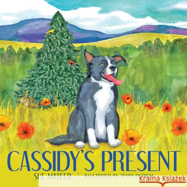 Cassidy's Present Sue Mateer, Tenny Ostrem 9781944255800 Book's Mind