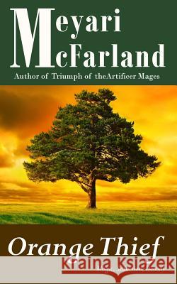 Orange Thief Meyari McFarland 9781944269135 Mary M Raichle