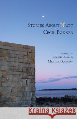 Stories About Tacit Goldman, Michael 9781944682149 Spuyten Duyvil Publishing