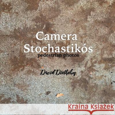 Camera Stochastikós: pedestrian photos Diethelm, David 9781945432354 Aurora Books