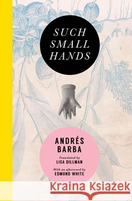 Such Small Hands Andres Barba Lisa Dillman Edmund White 9781945492006