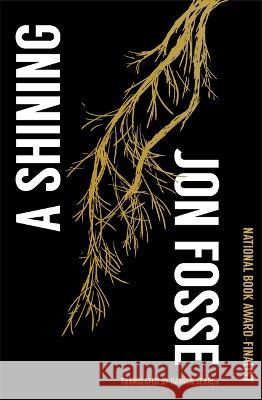 A Shining  9781945492778 Transit Books