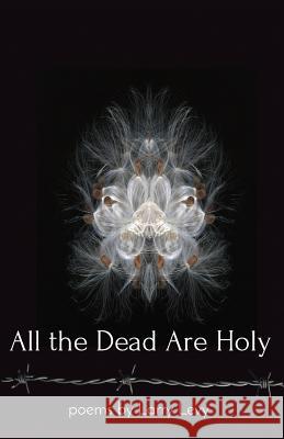 All the Dead Are Holy Larry Levy 9781945603464 Atmosphere Press