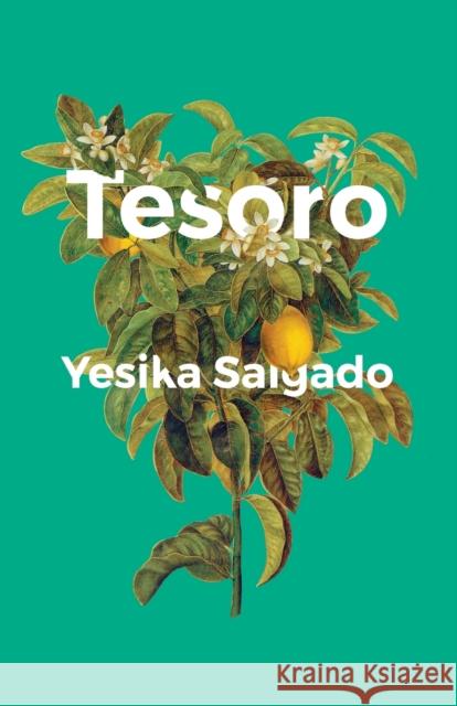 Tesoro Yesika Salgado 9781945649233 Not a Cult