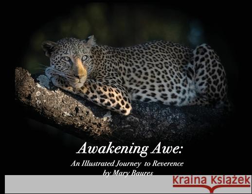 Awakening Awe: An Illustrated Journey to Reverence Mary Baures 9781945756252 Merrimack Media