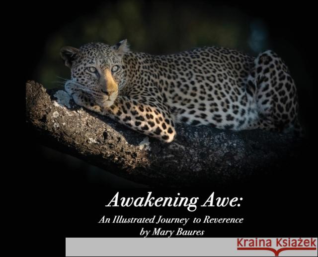 Awakening Awe: An Illustrated Journey to Reverence Mary Baures 9781945756276 Merrimack Media