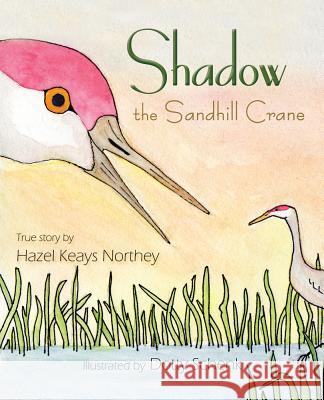 Shadow the Sandhill Crane Hazel Keays Northey Dotty Schenk  9781945805219