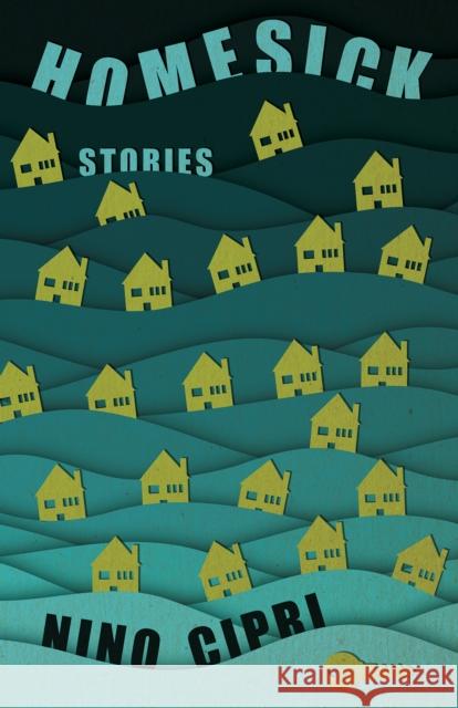 Homesick: Stories  9781945814952 Dzanc Books