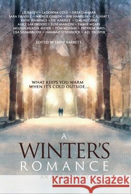 A Winter's Romance Katie Jennings, Patricia Paris, Emmie Mears 9781946006295