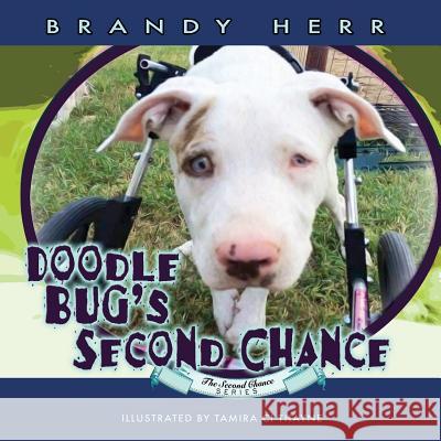 Doodle Bug's Second Chance Tamira Thayne Brandy Herr 9781946044341 Who Chains You Books