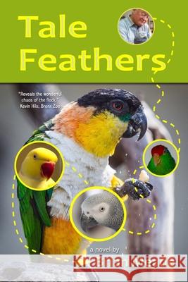 Tale Feathers Brian Meade 9781946044945