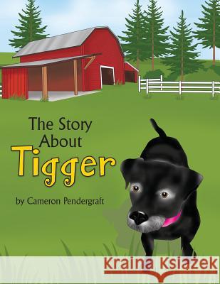 The Story About Tigger Pendergraft, Cameron 9781946198020