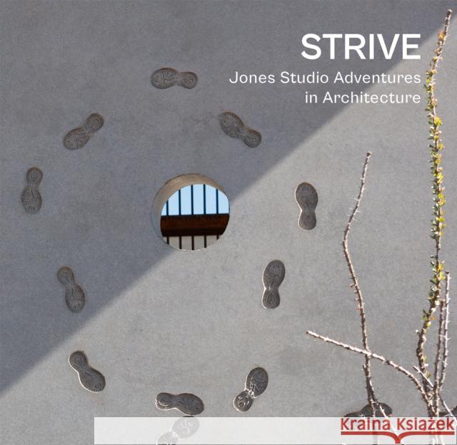 Strive: Jones Studio Adventures in Architecture Marlon Blackwell 9781946226662 Oscar Riera Ojeda Publishers Limited