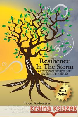 Resilience In The Storm: Coming Back Stronger From The Storms In Your Life Andreassen, Jordan 9781946265029 Creative Life Publishing & Learning Institute